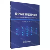 [N]硫化铜矿通风强化浸出-9787502494421