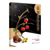 [N]新潮盘饰造型-9787122431097