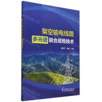 [N]架空输电线路多光谱联合巡检技术-9787519876234