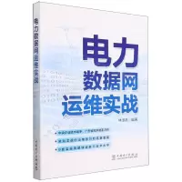 [N]电力数据网运维实战-9787519875862