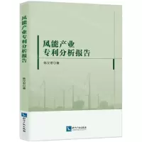 [N]风能产业专利分析报告-9787513087995