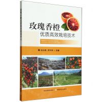 [N]玫瑰香橙优质高效栽培技术-9787109311626