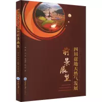 四川盆地天然气发展前景展望