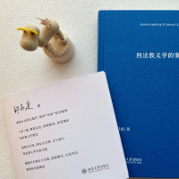 刑法教义学的案例进路