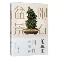 [N]附石盆景制作全图解-9787533570439