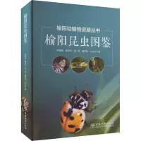 榆阳昆虫图鉴(精)/榆阳动植物资源丛书
