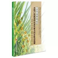 [N]我国南方水稻土水稻产量演变特征及其肥力因素驱动机制-9787511665997