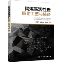 褐煤基活性炭吸附工艺与装备