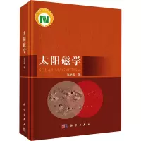 太阳磁学