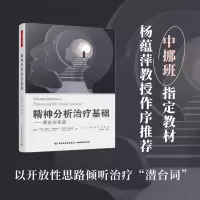 万千心理.精神分析治疗基础:理论与实践