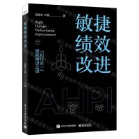 [N]敏捷绩效改进-9787121441387