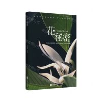 [N]花秘密-9787559453808