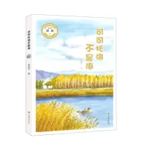 [N]可可托海不是海-9787537985949