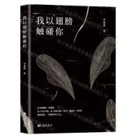 [N]我以翅膀触碰你-9787522500386