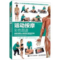 [N]运动按摩彩色图谱/悦动空间-9787115532657