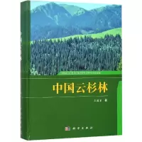 中国云杉林