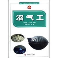 [M]沼气工-9787110077177