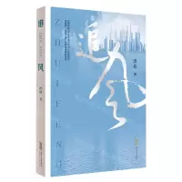 [N]追风-9787539671338
