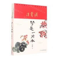 [N]梦是一片水-9787531755128