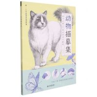 [N]动物描摹集-9787522601793