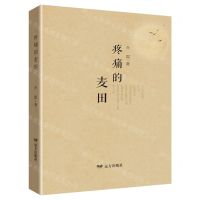 [N]疼痛的麦田-9787555516828