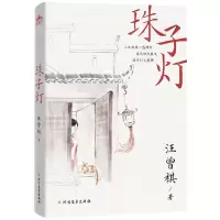[N]珠子灯-9787531755142