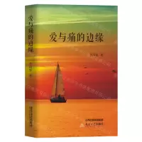 [N]爱与痛的边缘-9787537864695
