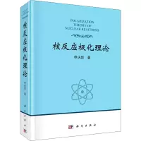 核反应极化理论