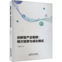 创新型产业集群:梯次培育与成长模式