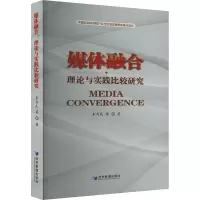 媒体融合 理论与实践比较研究