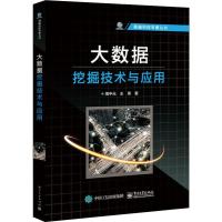 大数据挖掘技术与应用