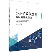 [N]小分子碳氢燃料微尺度催化燃烧-9787030657589