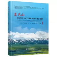 [N]东天山铁铜等大宗矿产成矿规律与找矿预测(精)-9787562552673