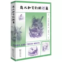 [N]鸟儿和它们的巢-9787100183031