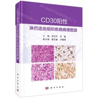 [N]CD30阳性淋巴造血组织疾病病理图谱(精)-9787030718358