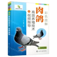 [N]彩色图解肉鸽高效养殖技术+视频指导-9787122403926