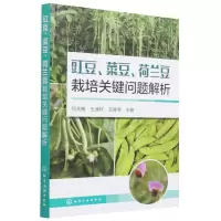 [N]豇豆菜豆荷兰豆栽培关键问题解析-9787122398246