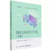 [N]微信小程序开发(中级微信小程序开发1+X证书制度系列教材)-9787121428975