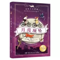 [N]月亮项坠/齿轮之心系列-9787572605260