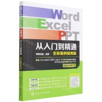 [N]Word Excel PPT从入门到精通(全彩案例视频版)-9787122401816