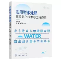 [N]实用型水处理高级氧化技术与工程应用-9787122387226
