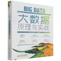 [N]大数据原理与实战-9787522600116