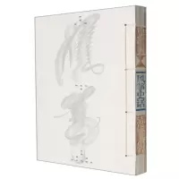 [N]风筝史话-9787558092817