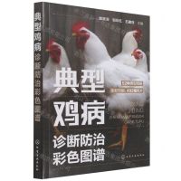 [N]典型鸡病诊断防治彩色图谱-9787122397423