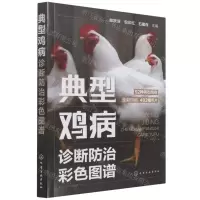 [N]典型鸡病诊断防治彩色图谱-9787122397423
