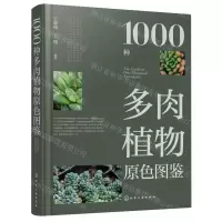 [N]1000种多肉植物原色图鉴-9787122380777
