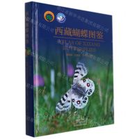 [N]西藏蝴蝶图鉴(精)-9787534998317