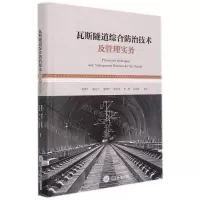 [N]瓦斯隧道综合防治技术及管理实务(精)-9787568927116