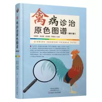 [N]禽病诊治原色图谱(第2版)(精)-9787572504679