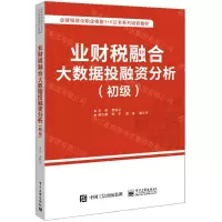 [N]业财税融合大数据投融资分析(初级业财税融合职业技能1+X证书系列培训教材)-9787121392436